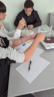PXL_20251113_070424274.jpg