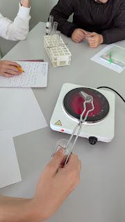 PXL_20251113_070653785.jpg