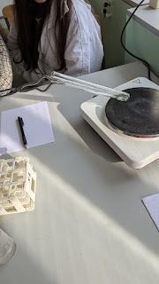 PXL_20251113_070848246.jpg